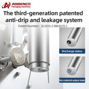 Fully Automatic PLC Controlled Plastic Vacuum Packaging <b>Machine</b> Wrapping Coating Sealing Filling Functions for Food Applications - Product Image 5