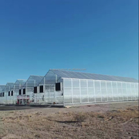 Multi-Span Polycarbonaat Kas Met Hydroponisch Systeem Nieuw Ontwerp Goot Verbonden Groot Formaat Voor Rozenbloemen Planten