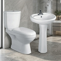Articles Sanitaires Céramiques pour Salle de Bain : WC et Lavabo Deux Pièces