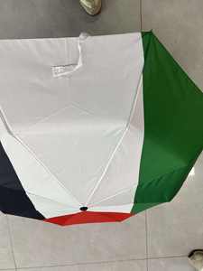 Ombrello Personalizzato Palestina con Logo Prodotto Palestinese 8 Stecche Completamente Automatico Portatile con Bandiera Palestinese per Esterni - Product Image 4