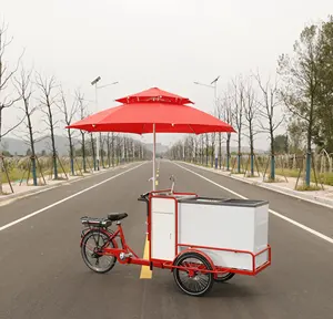 500 Вт, 48 В, солнечные велосипеды для мороженого, электрические циклы для мороженого, мобильные трехколесные велосипеды для продажи салатов