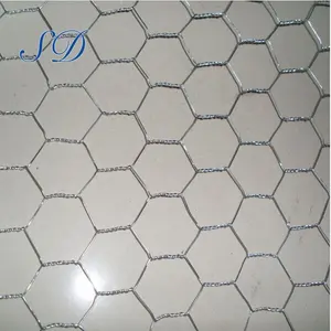 Galvanized Poultry Hexagonal Wire Mesh Netting