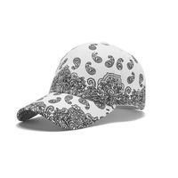 Casquette de baseball unisexe de haute qualité avec design rétro imprimé, streetwear premium, hip hop moderne, respirante, réglable, protection solaire