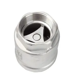 304 316 Stainless Steel One-way Plumbing Check Valve BSP NPT Threaded Vertical Check Valves