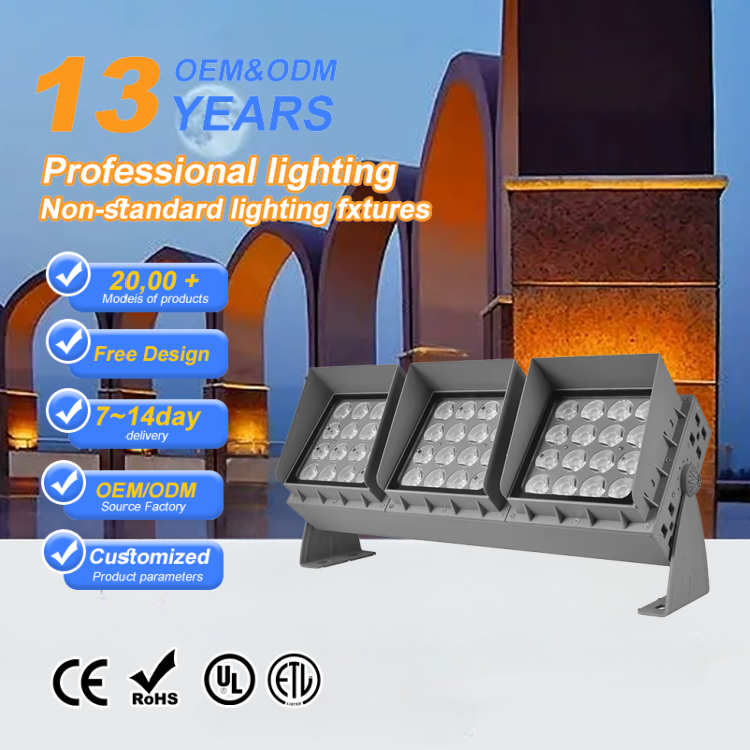Rechargeable 50W COB Floodlight Landscape Use Electric Current Die-Cast Aluminum Case IP66 Rating ROHS CCC Certified 3000K 6000K