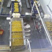 Projet clé en main La ligne de production de conserves de pêche jaune comprend des machines à biscuits et à pain