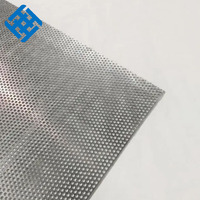 Tôle perforée micron Plaques perforées en acier inoxydable Grille de haut-parleur en maille métallique perforée