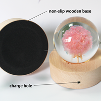 Vente en gros de résine de haute qualité + vraies fleurs sèches forme de boule de pissenlit lumière LED pour cadeau de boule de cristal