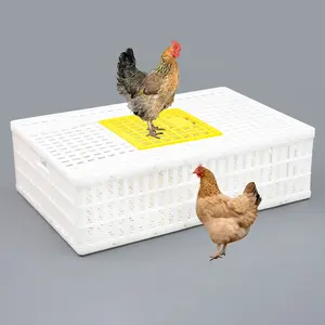 الدواجن الحية قفص الحديثة نوع جديد الدجاج قفص دجاج صغير لنقل
