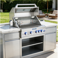 Barbecue à gaz de table en acier inoxydable 304, robuste, pour cuisine extérieure, vente en gros en grande quantité