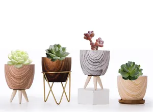 Mini vasi succulenti in ceramica di alta qualità, vaso succulento in marmo carino, piccoli vasi per piante succulente