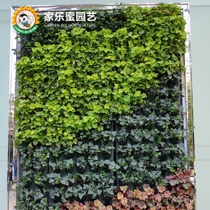<span class=keywords><strong>Giardino</strong></span> Bee Home Garden <span class=keywords><strong>giardino</strong></span> Topiary recinzione vera pianta verticale verde erba parete decorazione, sistema di parete verde <span class=keywords><strong>giardino</strong></span> verticale - Product Image 5