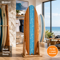 Planche de surf Swallow Tail Fish pour adultes, sports nautiques, planche de surf pour la plage, la mer, la vague, le surf, pour les loisirs en plein air sur la mer