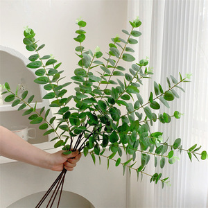 Feuille d'eucalyptus artificielle Qingyu Chronicle, verte et réaliste, pour la décoration intérieure - Product Image 1