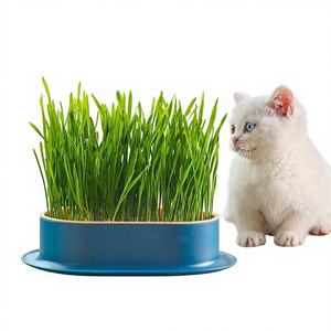 Boîte <span class=keywords><strong>de</strong></span> culture hydroponique pour herbe à <span class=keywords><strong>chat</strong></span> et herbe pour chats avec 5 sachets <span class=keywords><strong>de</strong></span> graines et option sans graines - Friandises pour chats, fournitures pour animaux <span class=keywords><strong>de</strong></span> compagnie - Product Image 1