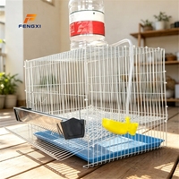 Cage à Oiseaux Multi-Niveaux pour l'Élevage de Cailles, de Cailles-d'Inde et de Pigeons
