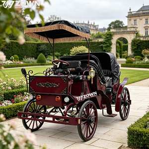 Voiture électrique sans chevaux pour visites touristiques, alimentée par batterie, pour parcs à thème, attractions touristiques, célébrations et défilés - Product Image 1