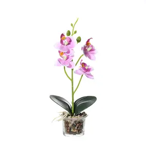 Dekorasi Rumah Vas Tanaman Hidup Sutra Putih Palsu Pot Bunga Buatan Transparan Phalaenopsis Anggrek Ungu Pot Anggrek Bening