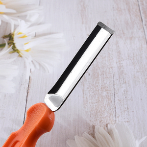 โรงงานขายส่งเครื่องมือแกะสลักผักผลไม้สแตนเลสพร้อมที่จับ pp - Product Image 4