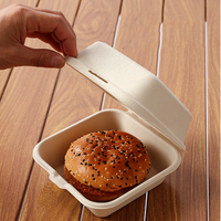 Conteneur alimentaire biodégradable en bagasse de canne à sucre, boîtes à lunch jetables en papier alimentaire