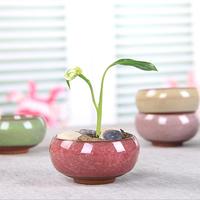 Mini pots à plantes succulentes créatifs en céramique émaillée effet craquelé, pour jardin, maison, décoration Zakka et artisanat
