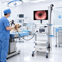 Système d'endoscopie gastro-intestinale vétérinaire JL-VGEZ1 - Endoscope gastro-entérologique flexible portable avec moniteur LCD vidéo