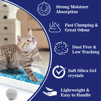 Sable de silice pour chat en emballage personnalisé OEM, sac de 10 L, taux d'adsorption élevé pour le nettoyage des animaux de compagnie, fabricant professionnel
