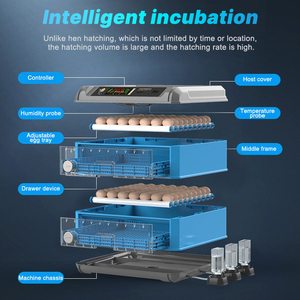 Автоматический инкубатор для куриных яиц с выдвижными ящиками с высокой скоростью вылупления для небольших ферм или домашнего использования - Product Image 2