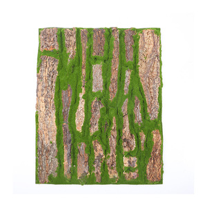 Decoración de musgo artificial para paredes de tuberías, realista, hecha a medida, ecológica - Product Image 3