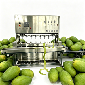 Machine à éplucher les fruits automatique à 8 stations en acier inoxydable, personnalisable, pour pommes, poires, citrons, mangues – Vente chaude - Product Image 1