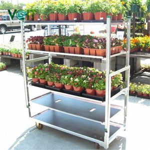 Étagère en contreplaqué transport extérieur jardin serre pépinière métal fleur plante chariot - Product Image 4