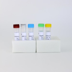 Kit <span class=keywords><strong>de</strong></span> detección <span class=keywords><strong>de</strong></span> ácido nucleico PPRV (RT-qPCR liofilizado, 50T/Kit)-para diagnóstico veterinario - Product Image 4