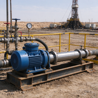 Pompe à vis simple à cavité progressive pour le secteur pétrolier, pour un débit de fluide stable et continu