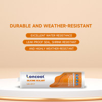 Scellant structurel en silicone transparent Loncool, résistant à l'eau et aux intempéries, haute adhérence, pour la construction et l'étanchéité