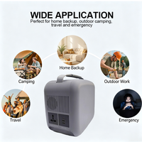 Centrale Électrique Solaire Hybride Portable et Empilable 5V 300W avec Batterie LiFePO4, Onduleur à Onde Sinusoïdale Pure et Démarreur de Secours pour Usage Domestique