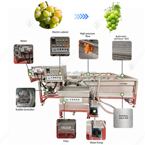 Línea <span class=keywords><strong>de</strong></span> Producción <span class=keywords><strong>de</strong></span> Lavado y Secado <span class=keywords><strong>de</strong></span> <span class=keywords><strong>Coco</strong></span> Rápida, Suave, <span class=keywords><strong>de</strong></span> Bajo Mantenimiento para Empacadoras - Product Image 6