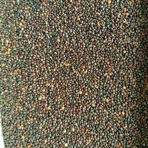 <span class=keywords><strong>Quinoa</strong></span> nera di <span class=keywords><strong>prezzi</strong></span> all'ingrosso all'ingrosso all'ingrosso della <span class=keywords><strong>quinoa</strong></span> dei grani della <span class=keywords><strong>Quinoa</strong></span> - Product Image 4