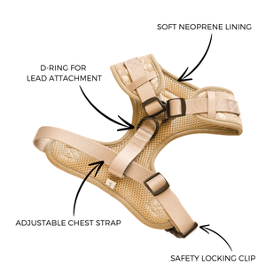 Novo Conjunto de Coleira e Guia para Animais de Estimação Personalizado com Design de Impressão de Luxo Ajustável Sem Puxar Jacquard - Product Image 3