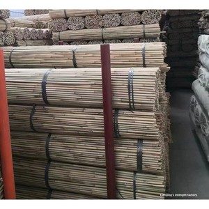 Varas de Bambú Chino Tonkin de Diámetro Pequeño, Anticorrosivas, para Uso Agrícola, Viveros, Jardines, Cercas, Astas de Banderas - Product Image 2