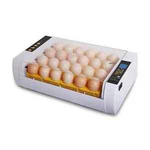 HHD PP Material 24S Incubadoras de huevos de pollo de alta tasa de eclosión completamente automáticas China
