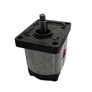 Pompe à engrenages hydraulique ALP1-R-11-E1 ALP2 ALP2BK1.D-6 ALP3-D-94 - Product Image 1