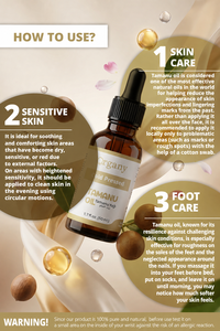 Aceite Portador de Tamanu (Calophyllum inophyllum) Prensado en Frío, Suministro de Fábrica al por Mayor para Cuidado de la Piel, Cabello, Masajes y Cosméticos - Product Image 3