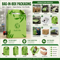 Sacs intérieurs Bag-in-Box 3L 5L 10L recyclables, écologiques, de qualité alimentaire, en NY/PE+PE, avec valve, imprimés en héliogravure pour l'emballage du café et du thé