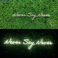 Bande lumineuse LED néon personnalisée en usine, enseigne néon, lumières de nuit, logo pour entreprise, fête d'anniversaire, décoration intérieure