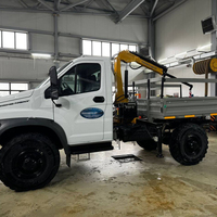Mini-grue de levage Bob-Lift de 0,8 tonne à installation rapide avec télécommande et stabilisateurs pour la vente