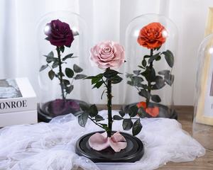 Prix de gros d'usine d'origine, <span class=keywords><strong>La</strong></span> <span class=keywords><strong>Belle</strong></span> <span class=keywords><strong>et</strong></span> <span class=keywords><strong>la</strong></span> Bête, fleurs <span class=keywords><strong>éternelle</strong></span>s, roses conservées dans un dôme en verre - Product Image 4