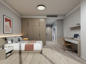 Set di Mobili per Camera <span class=keywords><strong>d</strong></span>'Albergo e Appartamento, Mobile TV All-in-One, Armadio in Legno con Cassetti e Scrivania Combinata - Product Image 2