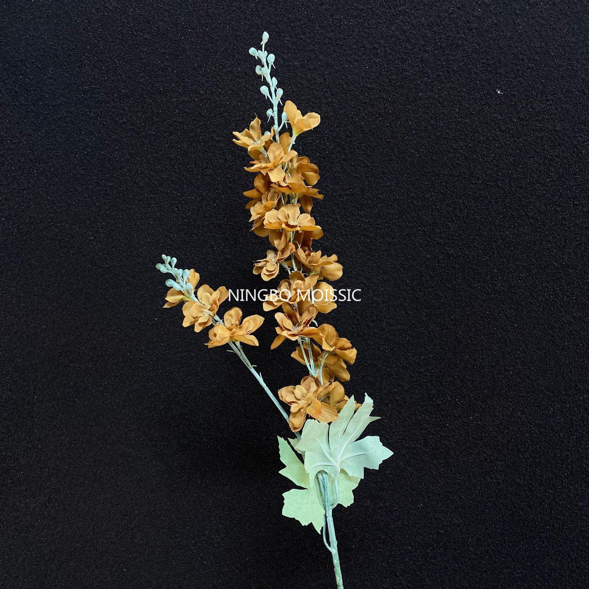 สีน้ำตาล