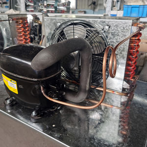 יחידת קירור מסחרי מותאמת אישית יחידת מדחס מפעל מכירות ישיר - Product Image 2