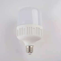 Ampoules de jardin économiques 40W B22 E27 12V 4000K LED nouveau modèle de capteur de mouvement arrondi en résine époxy pour la maison entrepôt courant alternatif